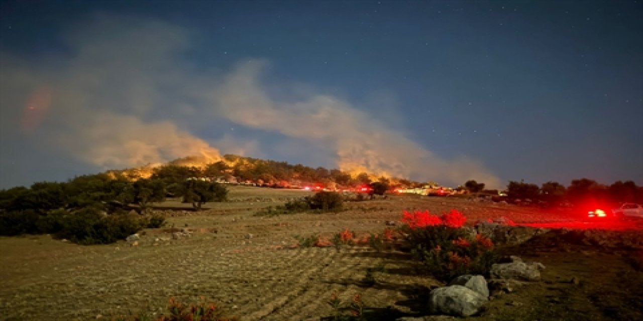 Adana’da korkutan orman yangını!